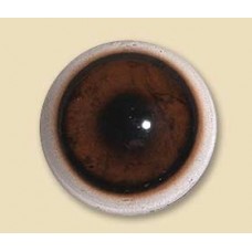 18mm iris-22mm whitebase boar eyes by Van Dykes  OUT OF STOCK