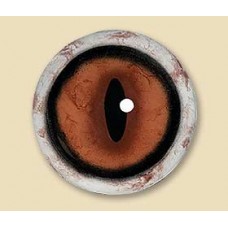 16mm iris 20mm whitebase Red Fox eyes by Van Dykes